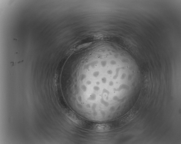 X0000059800275200511041635