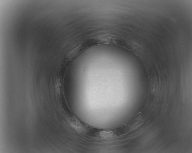 X0000059800279200511041635