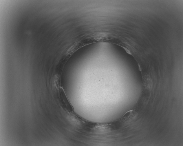 X0000059800280200511041635