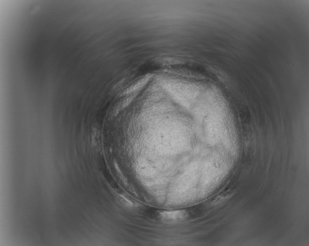 X0000059800281200511041635