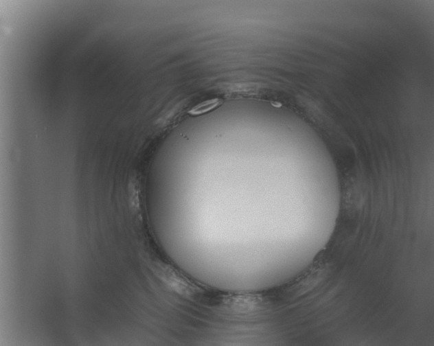 X0000059800282200511041635