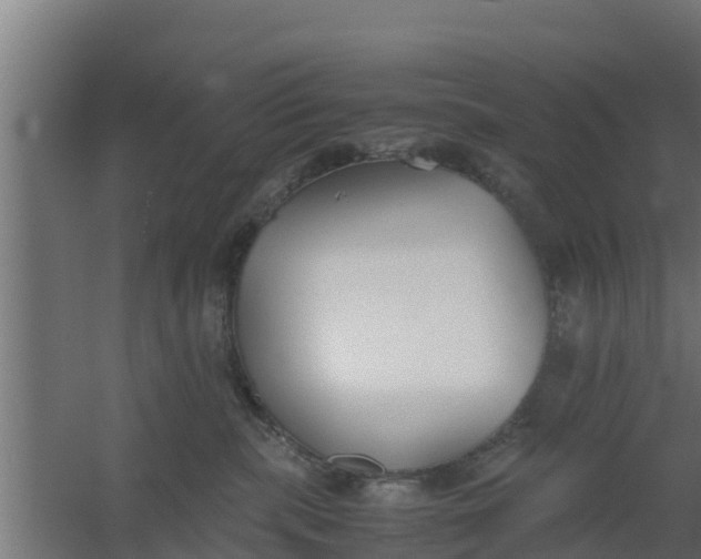 X0000059800283200511041635