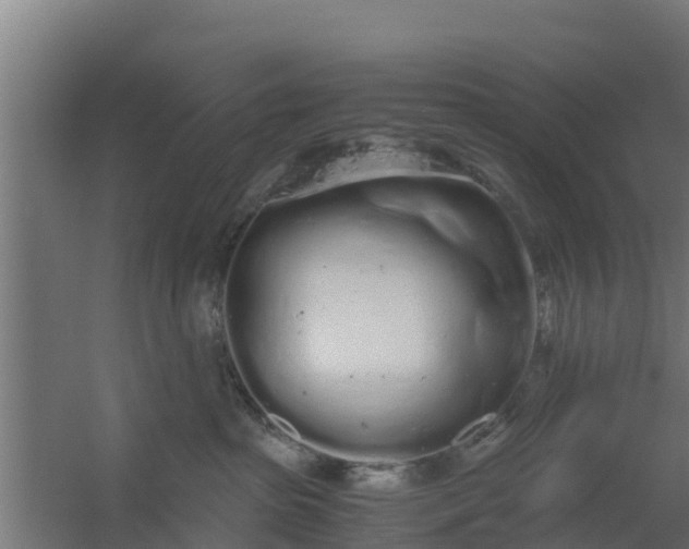 X0000059800285200511041635