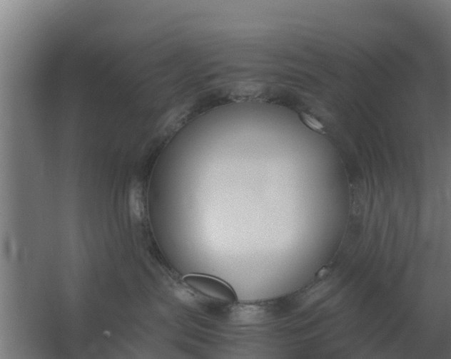 X0000059800287200511041635