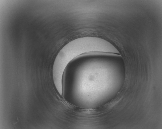 X0000059800288200511041635