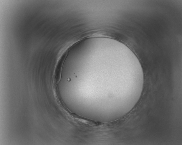 X0000059800289200511041634