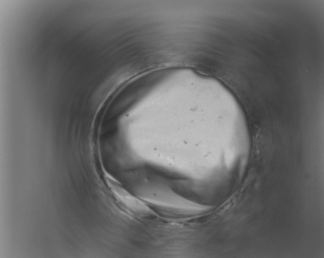 X0000059800290200511041634