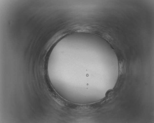 X0000059800291200511041634