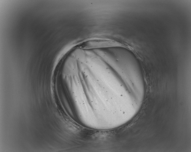 X0000059800294200511041634