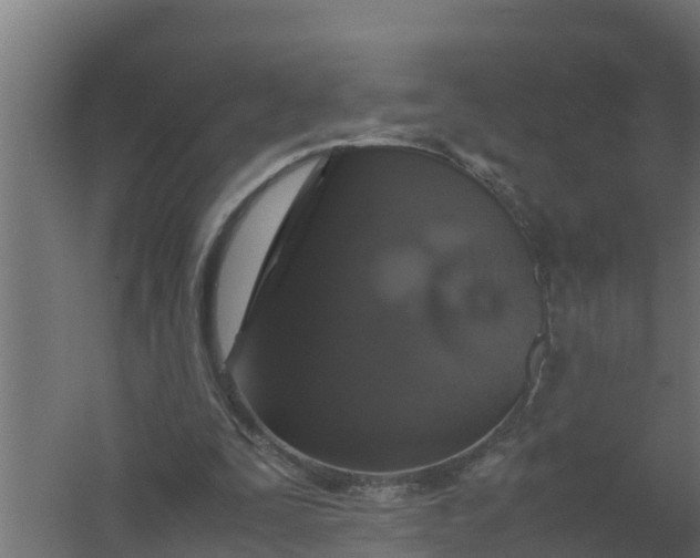 X0000059800295200511041634