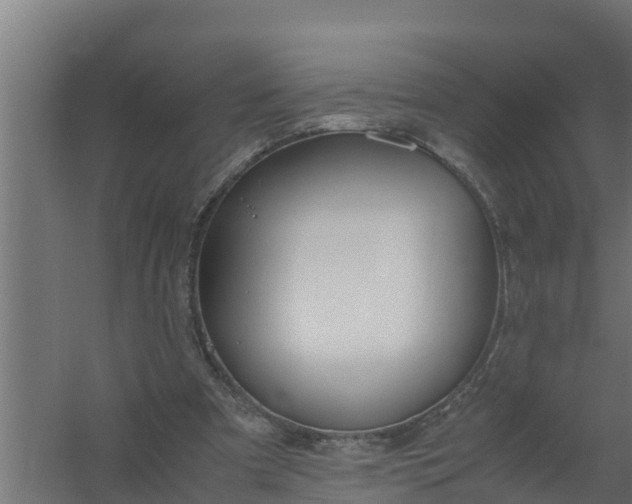 X0000059800297200511041634