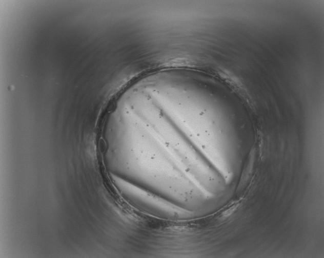 X0000059800298200511041634