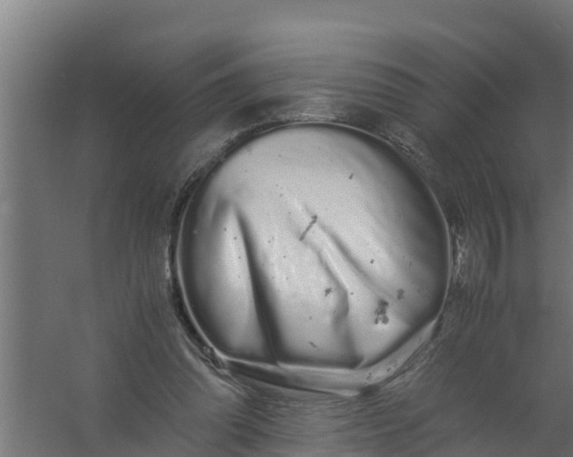 X0000059800302200511041634