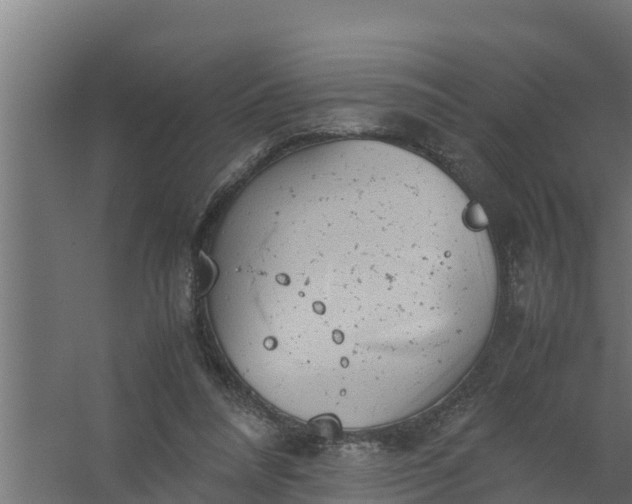 X0000059800304200511041634