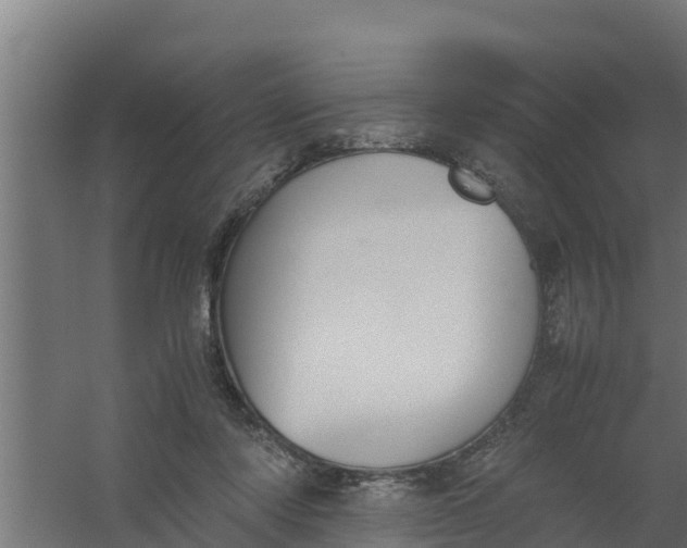 X0000059800310200511041634