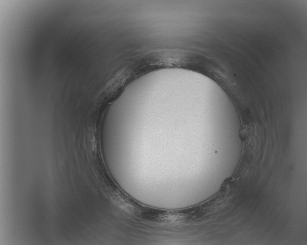 X0000059800313200511041634