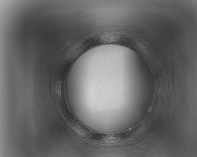 X0000059800315200511041634