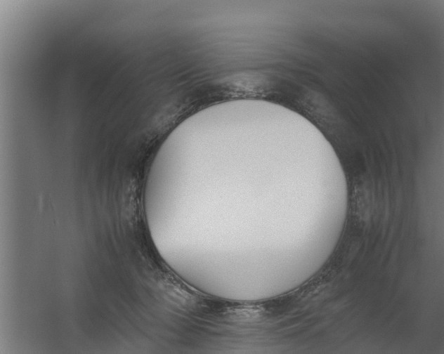 X0000059800318200511041634