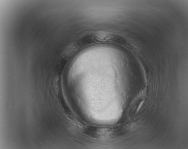 X0000059800319200511041634