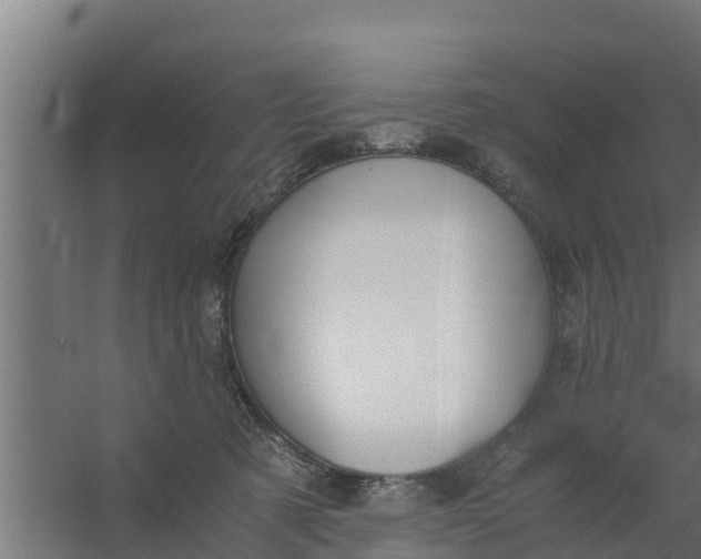 X0000059800321200511041634