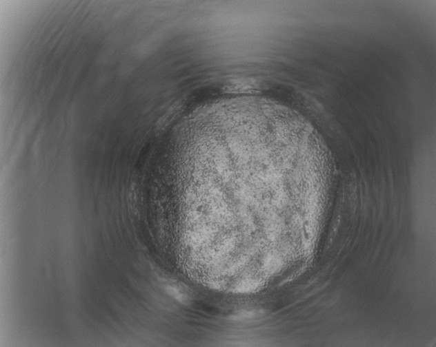 X0000059800322200511041634