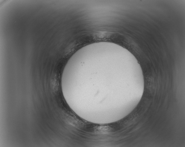 X0000059800324200511041634