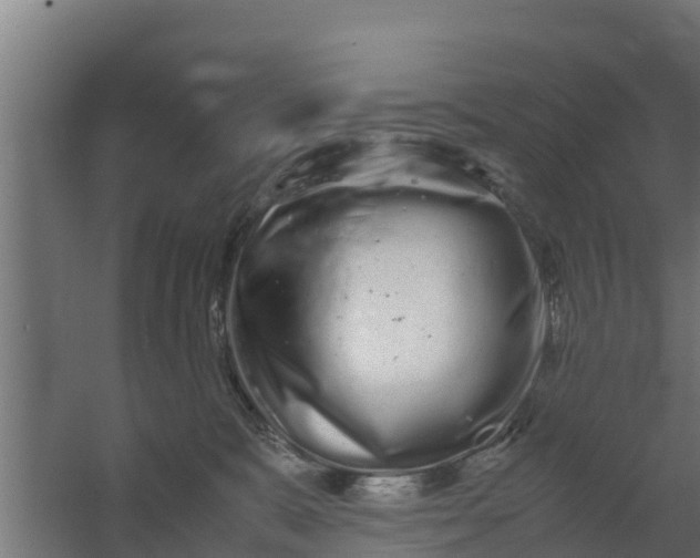 X0000059800327200511041634