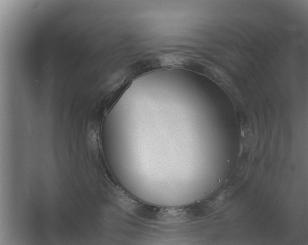 X0000059800329200511041634