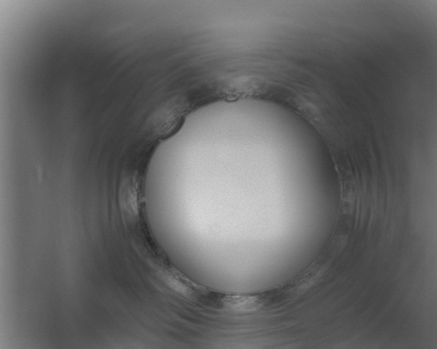 X0000059800334200511041633