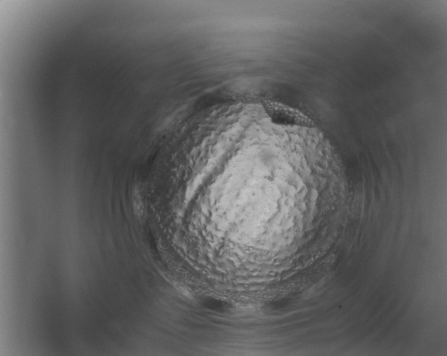 X0000059800335200511041633