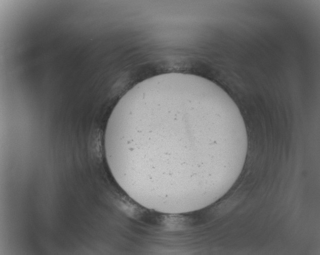 X0000059800336200511041633