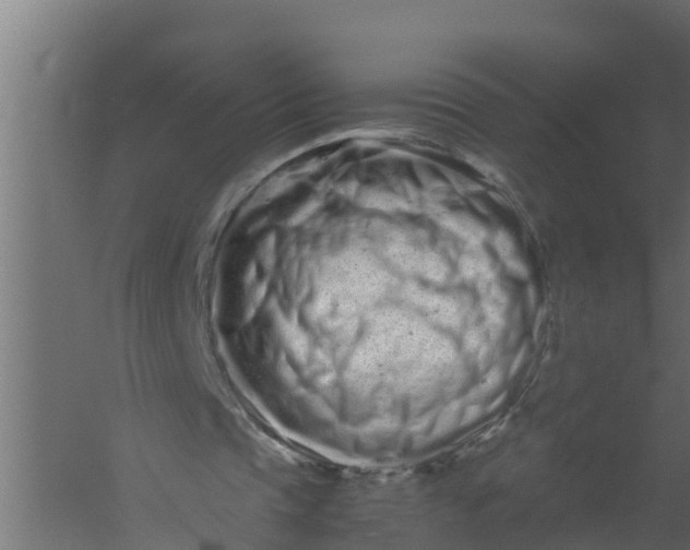 X0000059800337200511041633