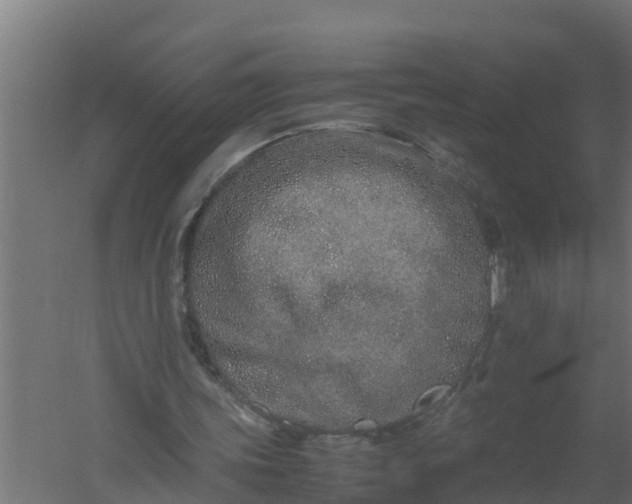 X0000059800339200511041633