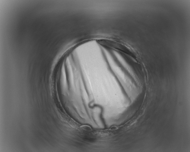 X0000059800343200511041633