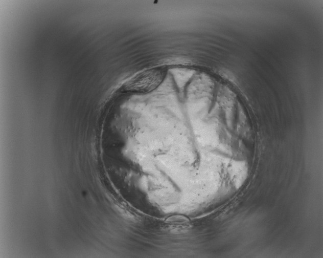 X0000059800345200511041633