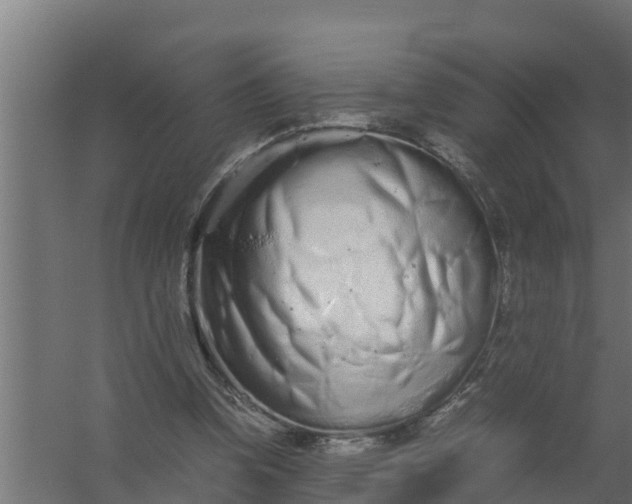 X0000059800346200511041633