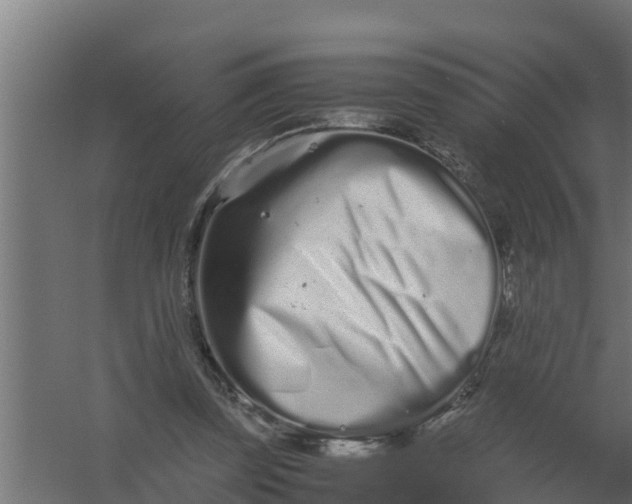 X0000059800347200511041633