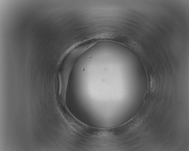 X0000059800348200511041633