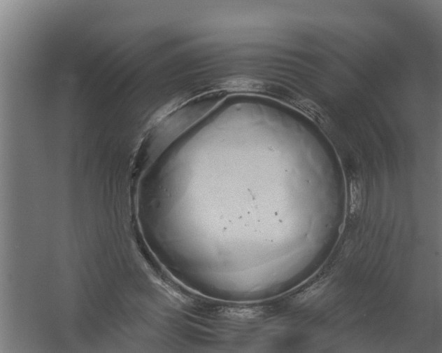 X0000059800349200511041633