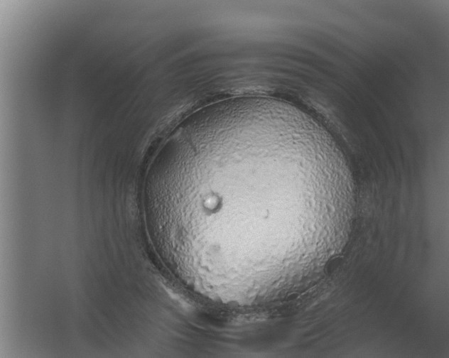 X0000059800353200511041633