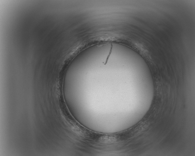 X0000059800354200511041633