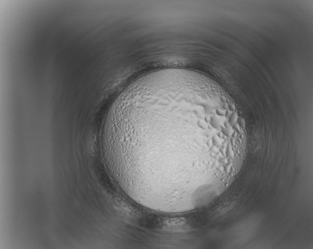 X0000059800355200511041633