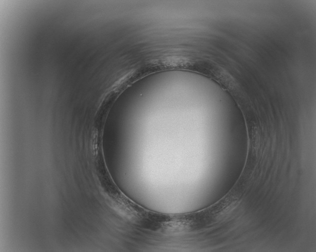 X0000059800356200511041633