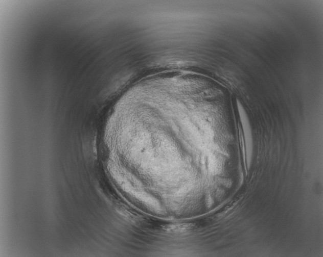 X0000059800358200511041633