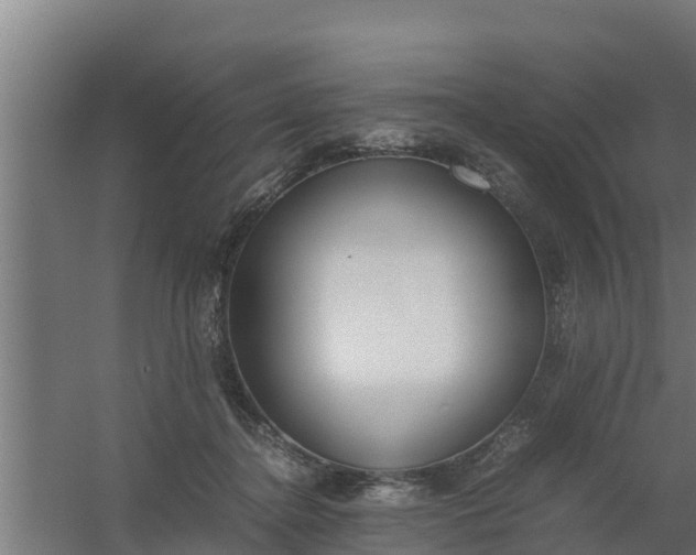 X0000059800364200511041633