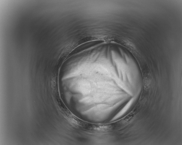 X0000059800365200511041633