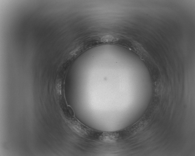 X0000059800368200511041633