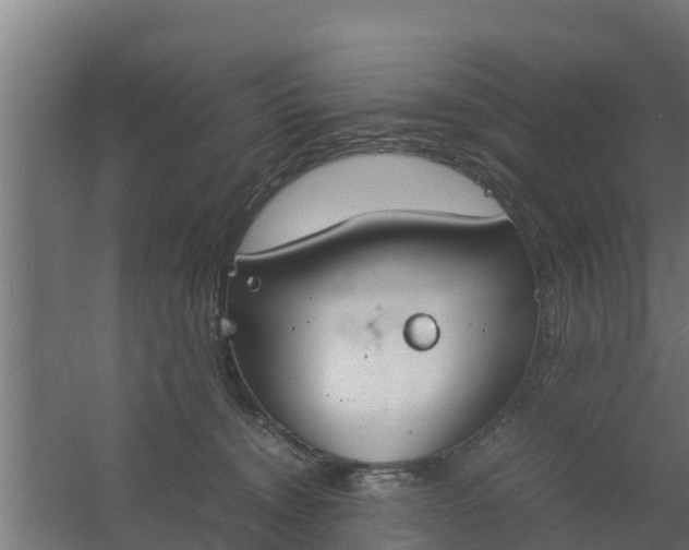 X0000059800372200511041633