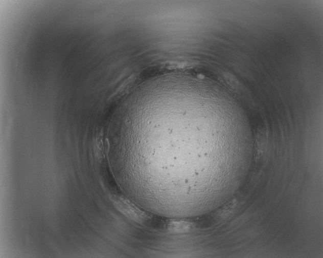 X0000059800376200511041633