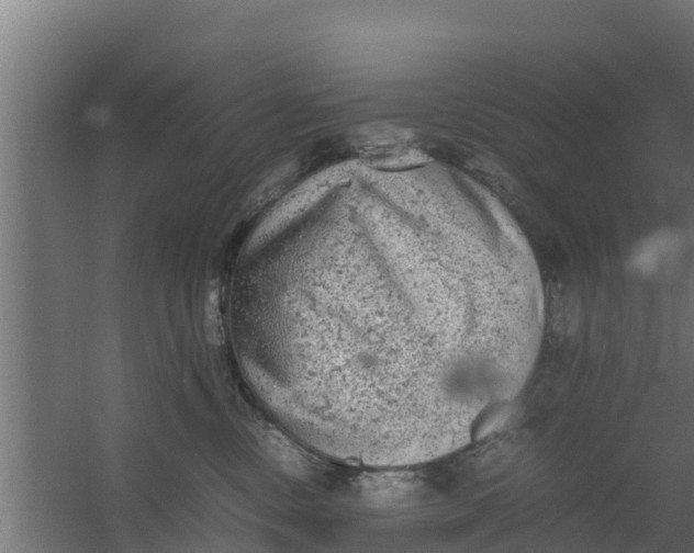 X0000059800378200511041633